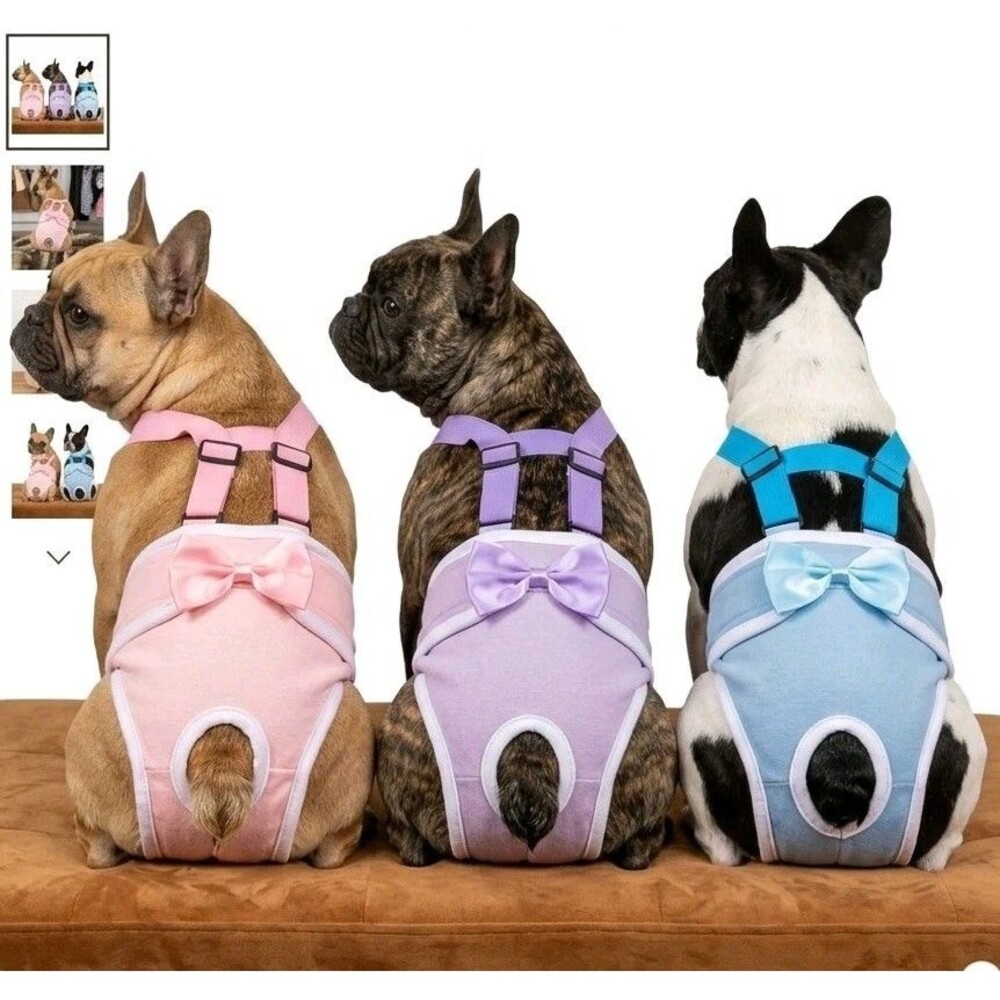 washable female dog diapers
